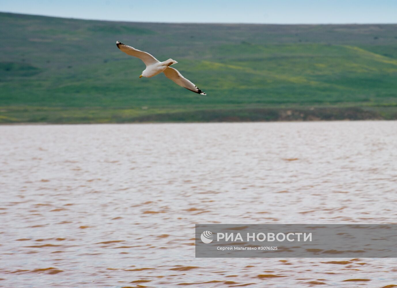 Опукский природный заповедник в Крыму