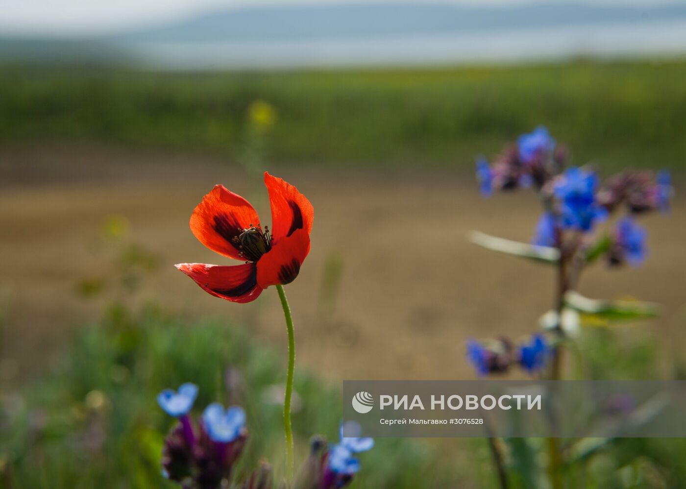 Опукский природный заповедник в Крыму