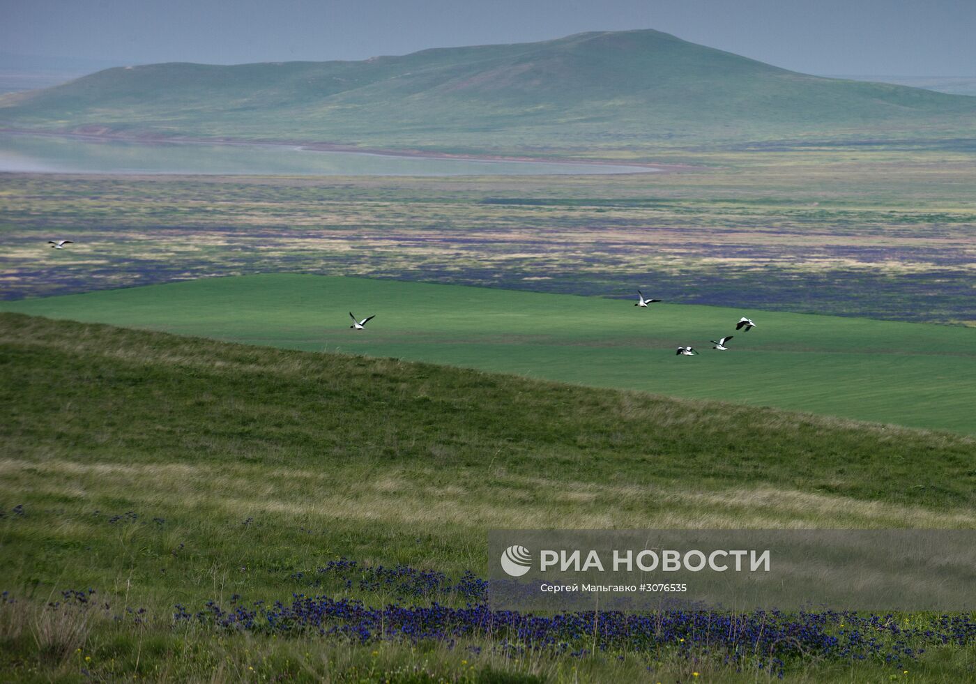 Опукский природный заповедник в Крыму