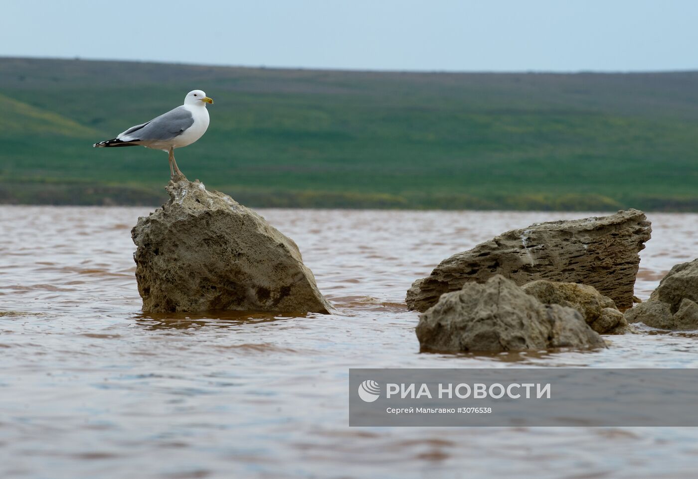 Опукский природный заповедник в Крыму