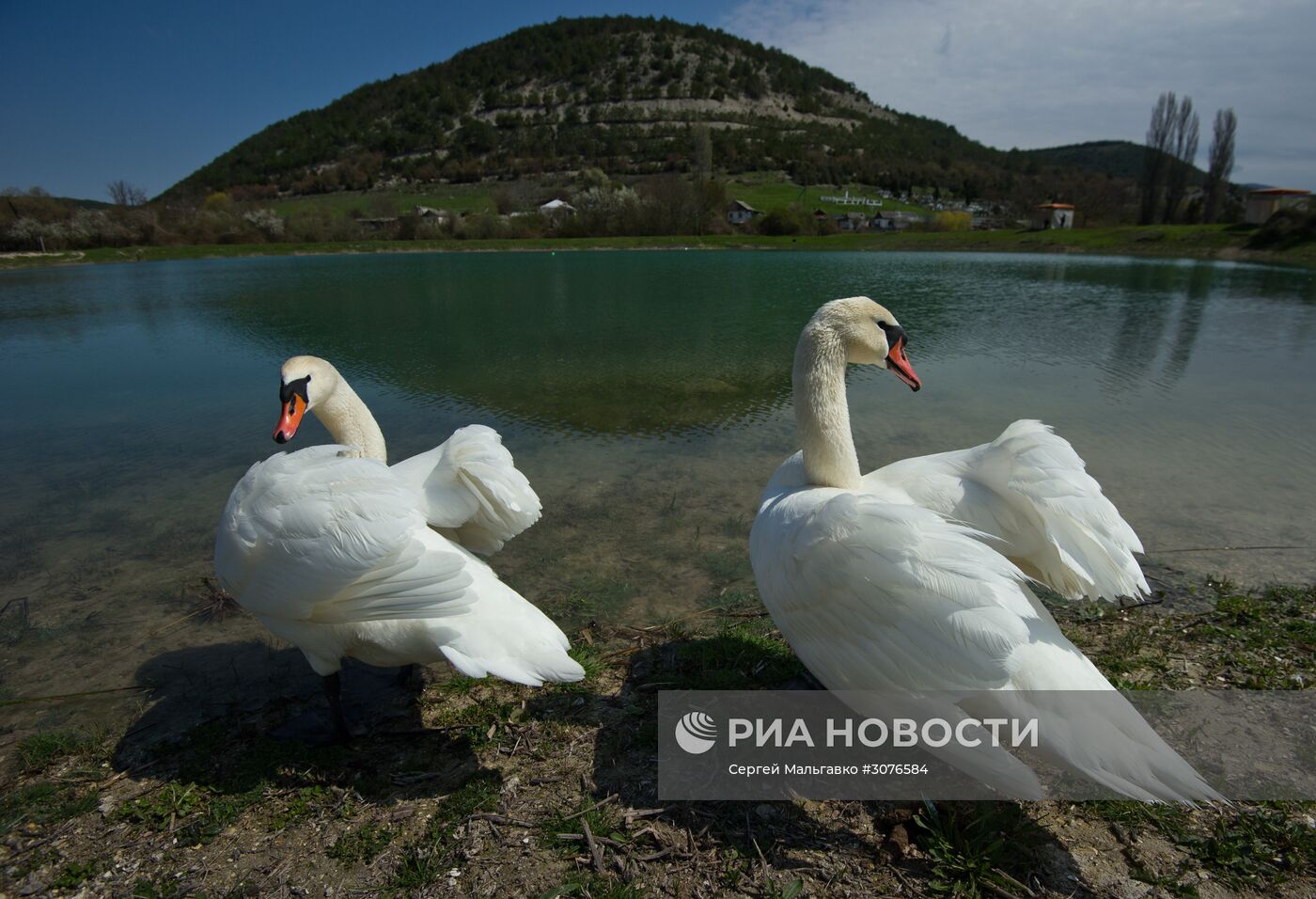 Весна в Крыму