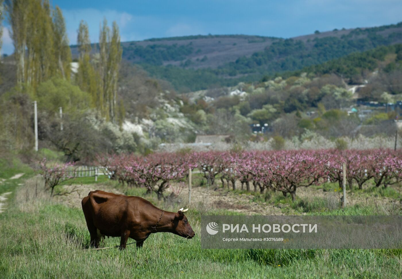 Весна в Крыму