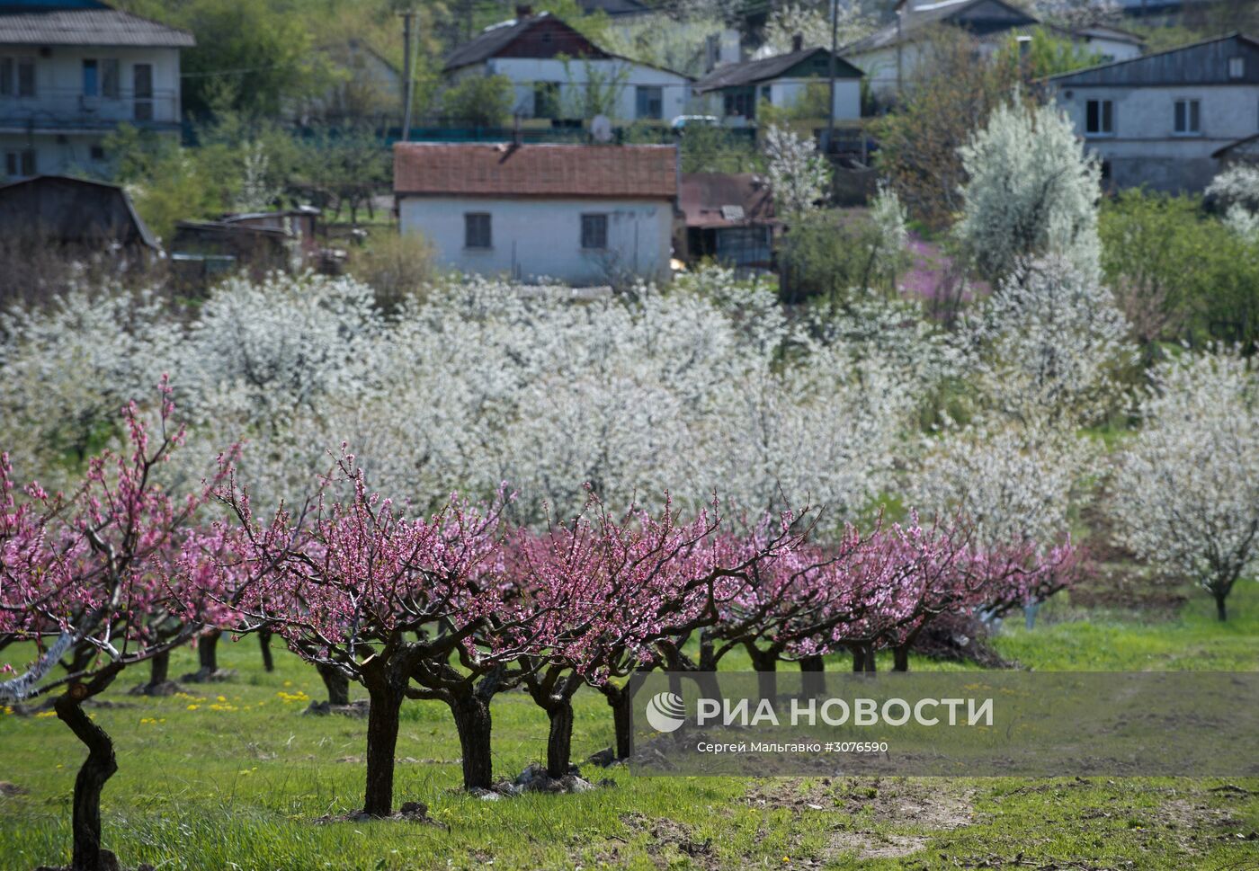 Весна в Крыму