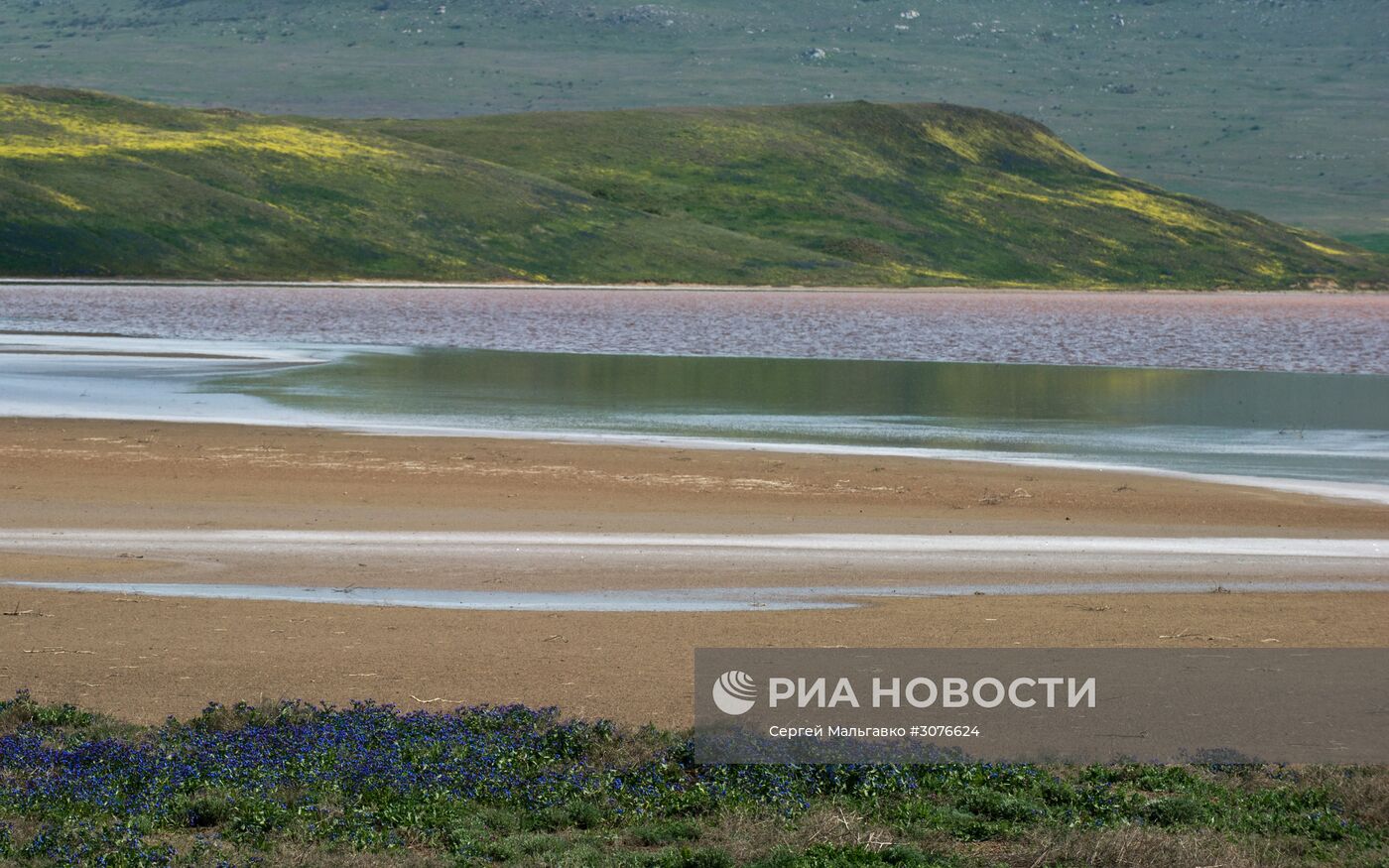 Опукский природный заповедник в Крыму