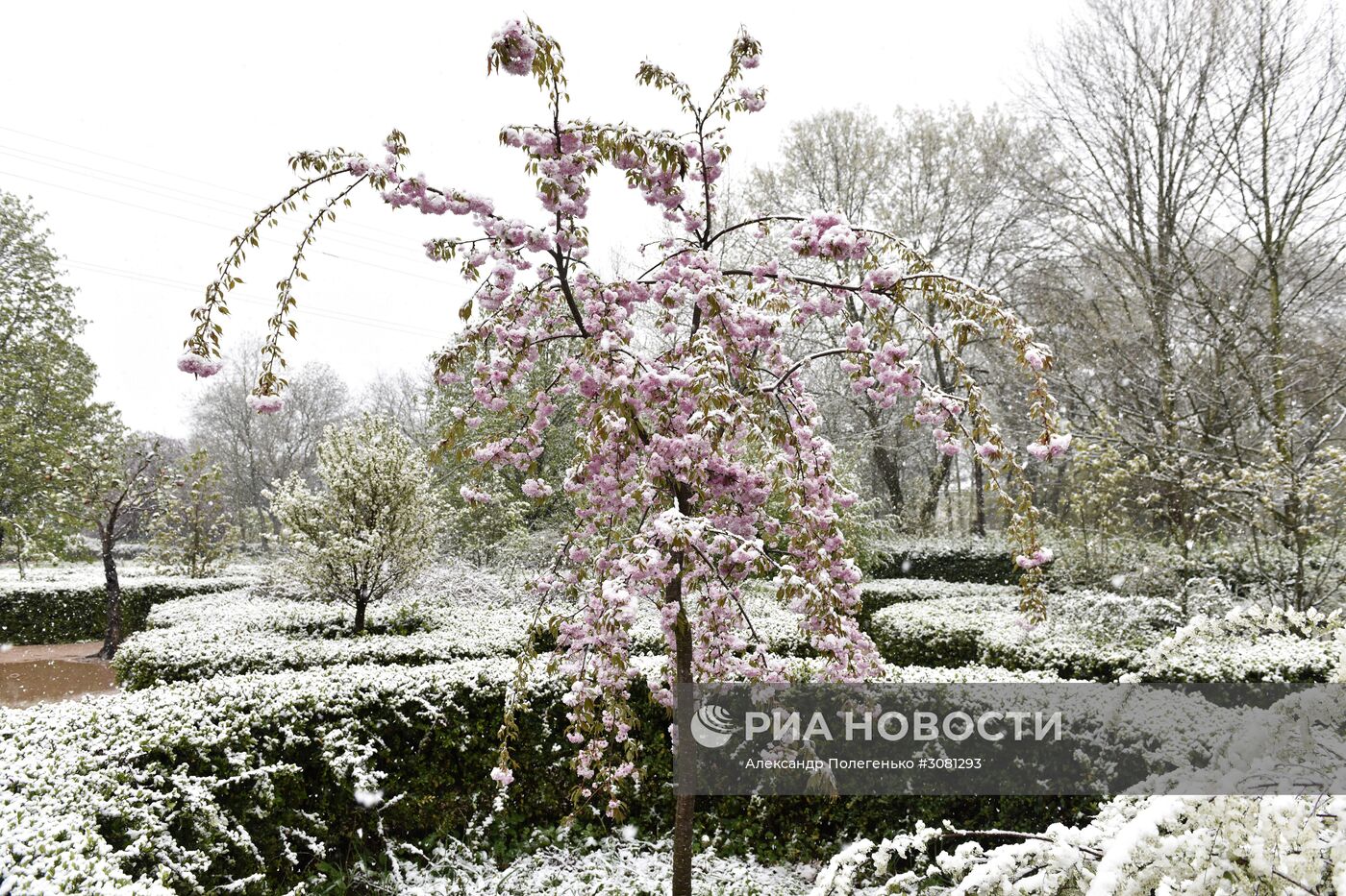 Снег в Крыму