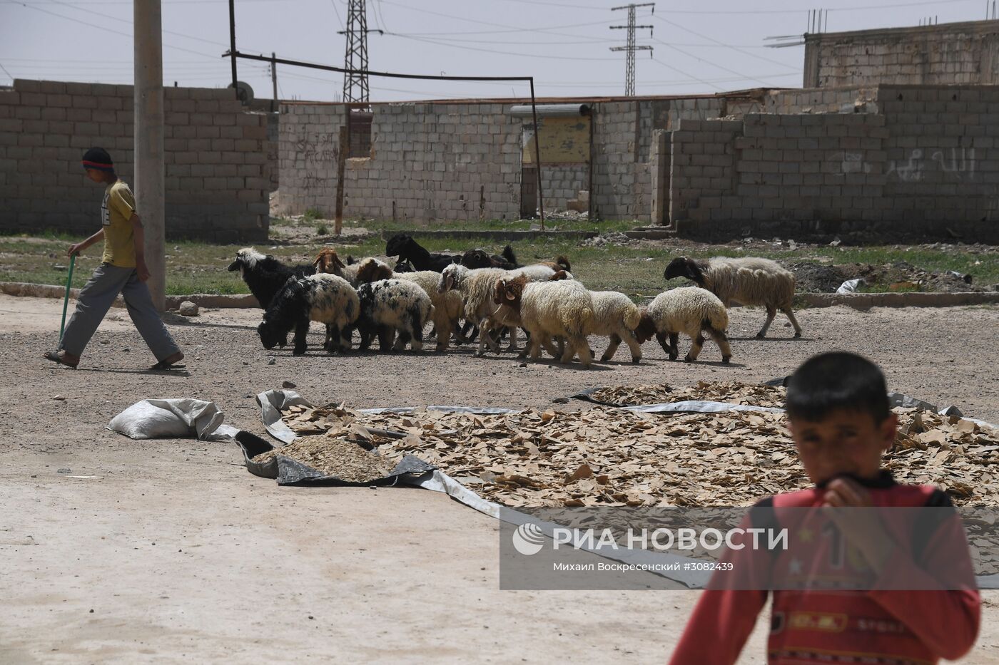 Ситуация в сирийском городе Дейр-эз-Зор