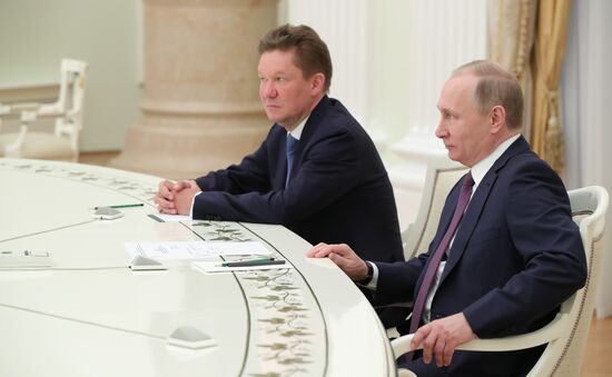 Рабочая встреча президента РФ В. Путина с генеральным директором OMV AG Райнером Зеле