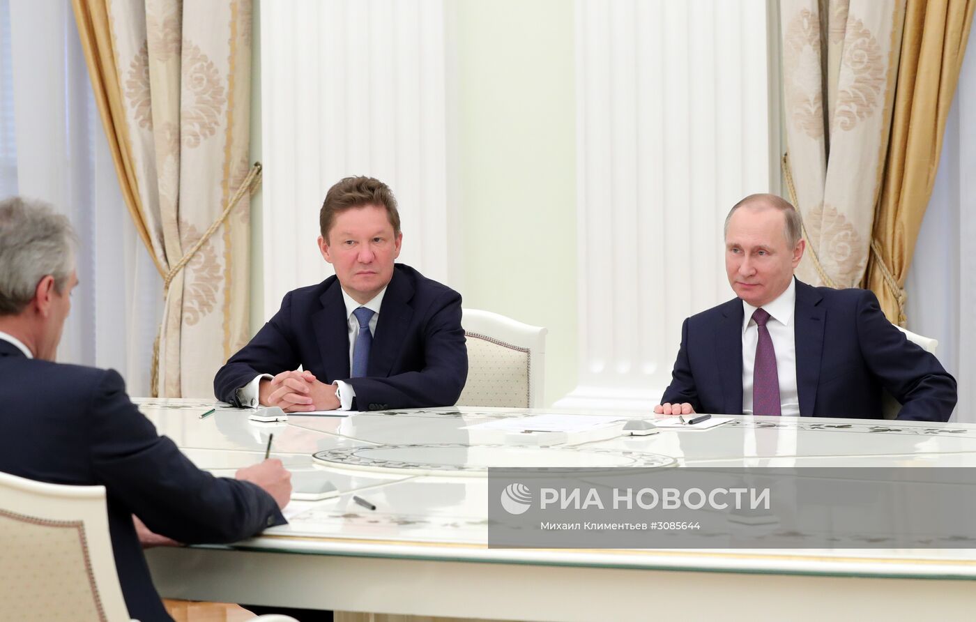 Рабочая встреча президента РФ В. Путина с генеральным директором OMV AG Райнером Зеле