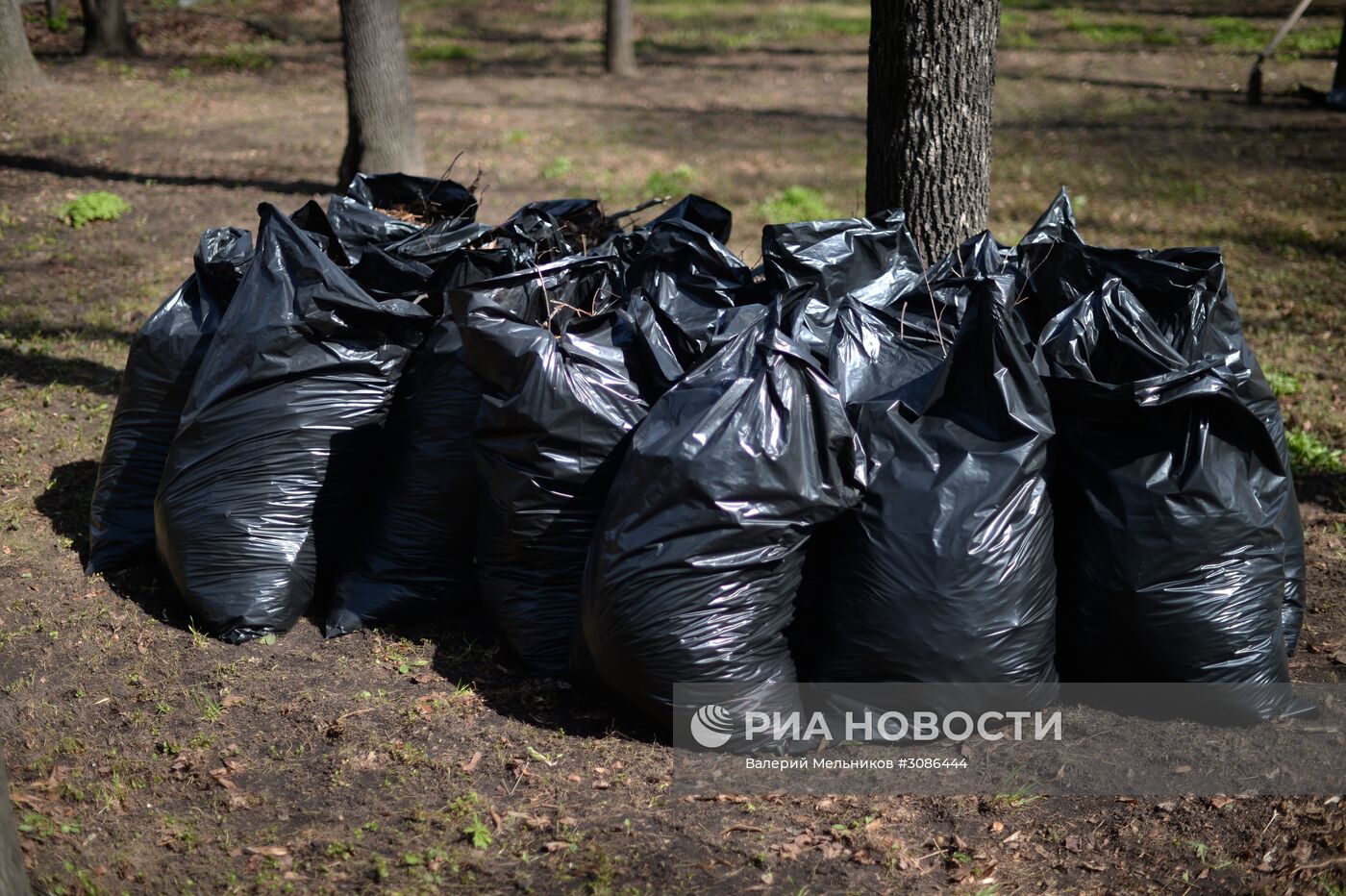 Всероссийский экологический субботник