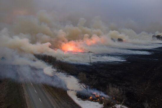 Полевые пожары в Новосибирской области