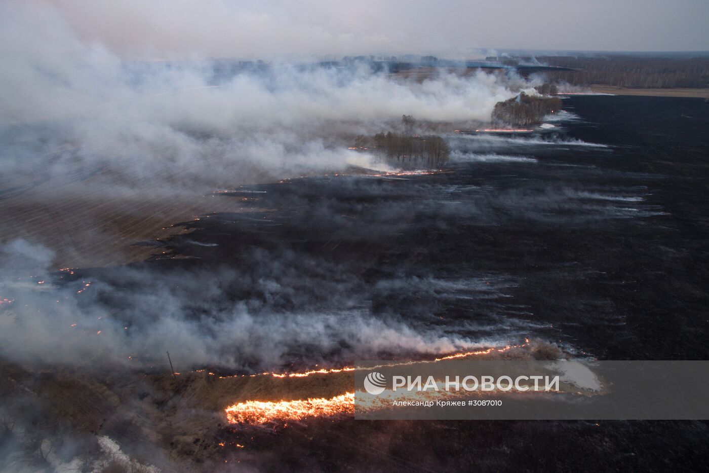 Полевые пожары в Новосибирской области
