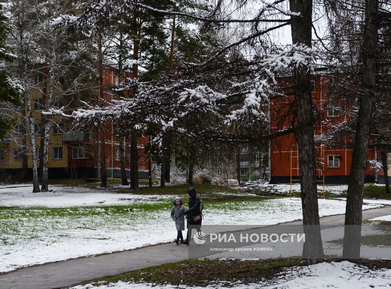 Майский снег в Новосибирске