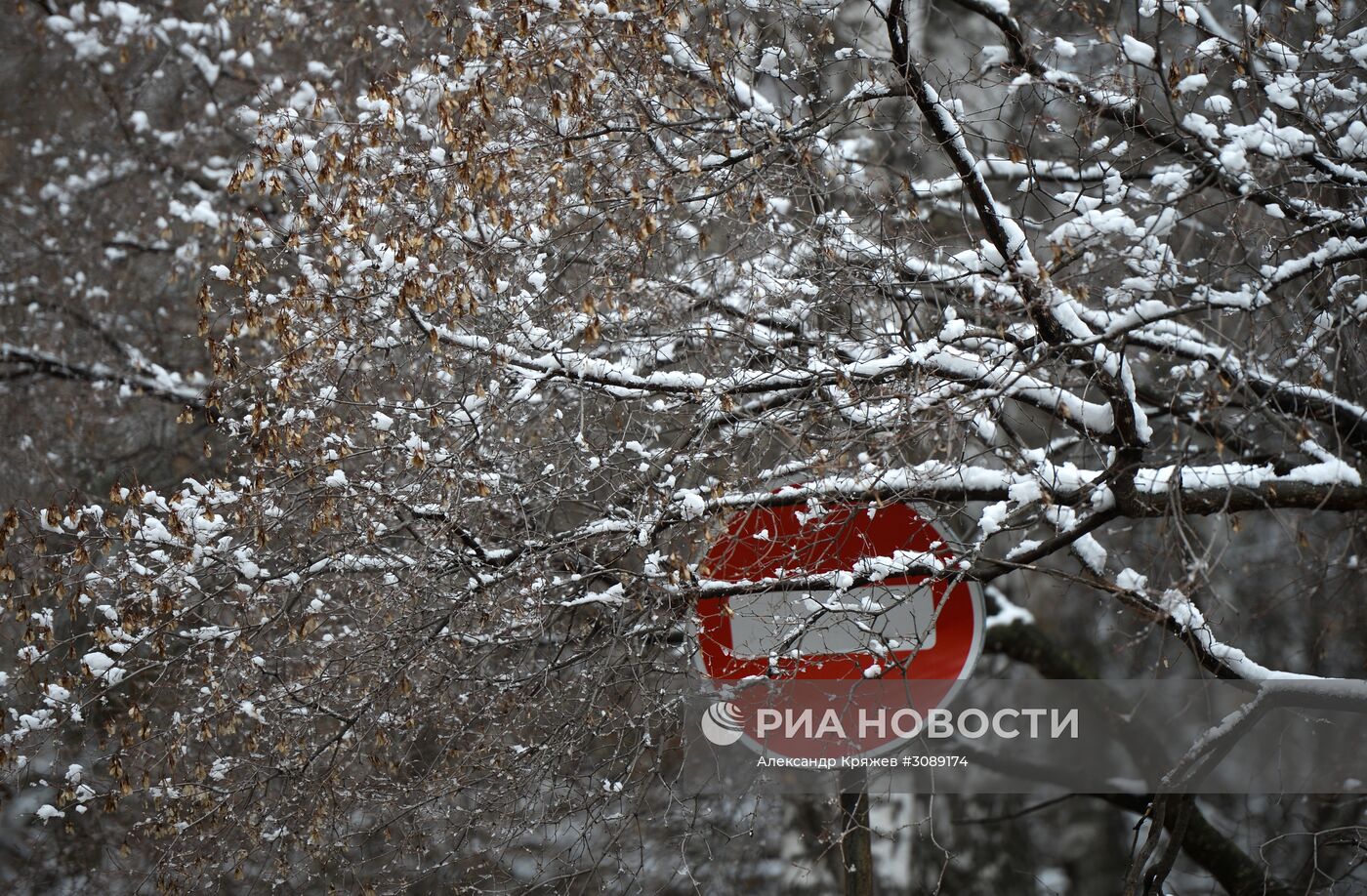 Майский снег в Новосибирске