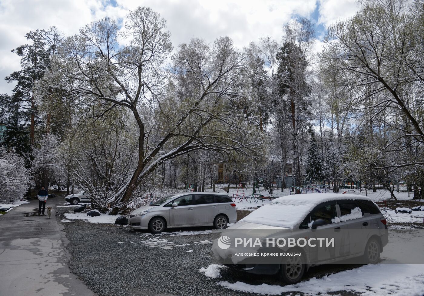 Майский снег в Новосибирске