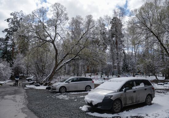 Майский снег в Новосибирске