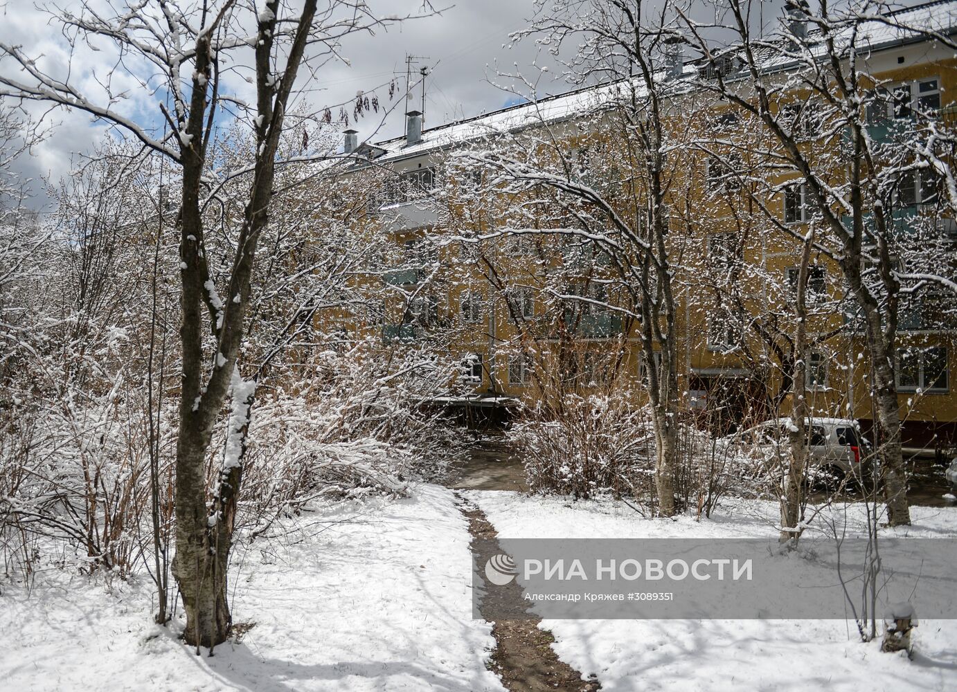 Майский снег в Новосибирске