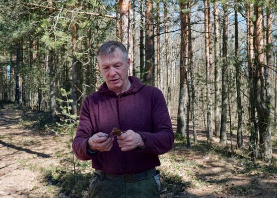 Акция по спасению серых жаб в Санкт-Петербурге