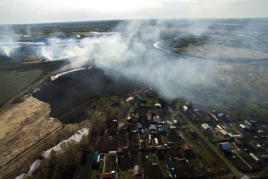 Полевые пожары в Алтайском крае