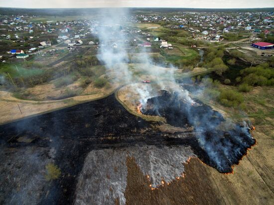 Полевые пожары в Алтайском крае