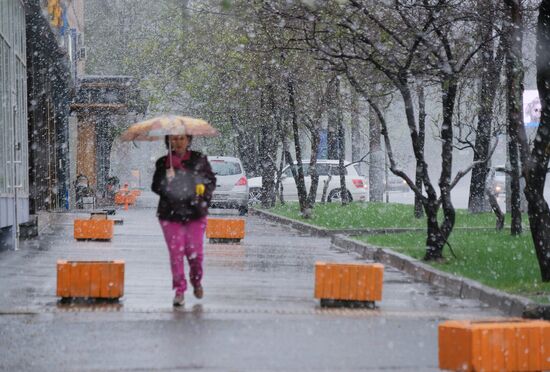 Майский снегопад в Москве