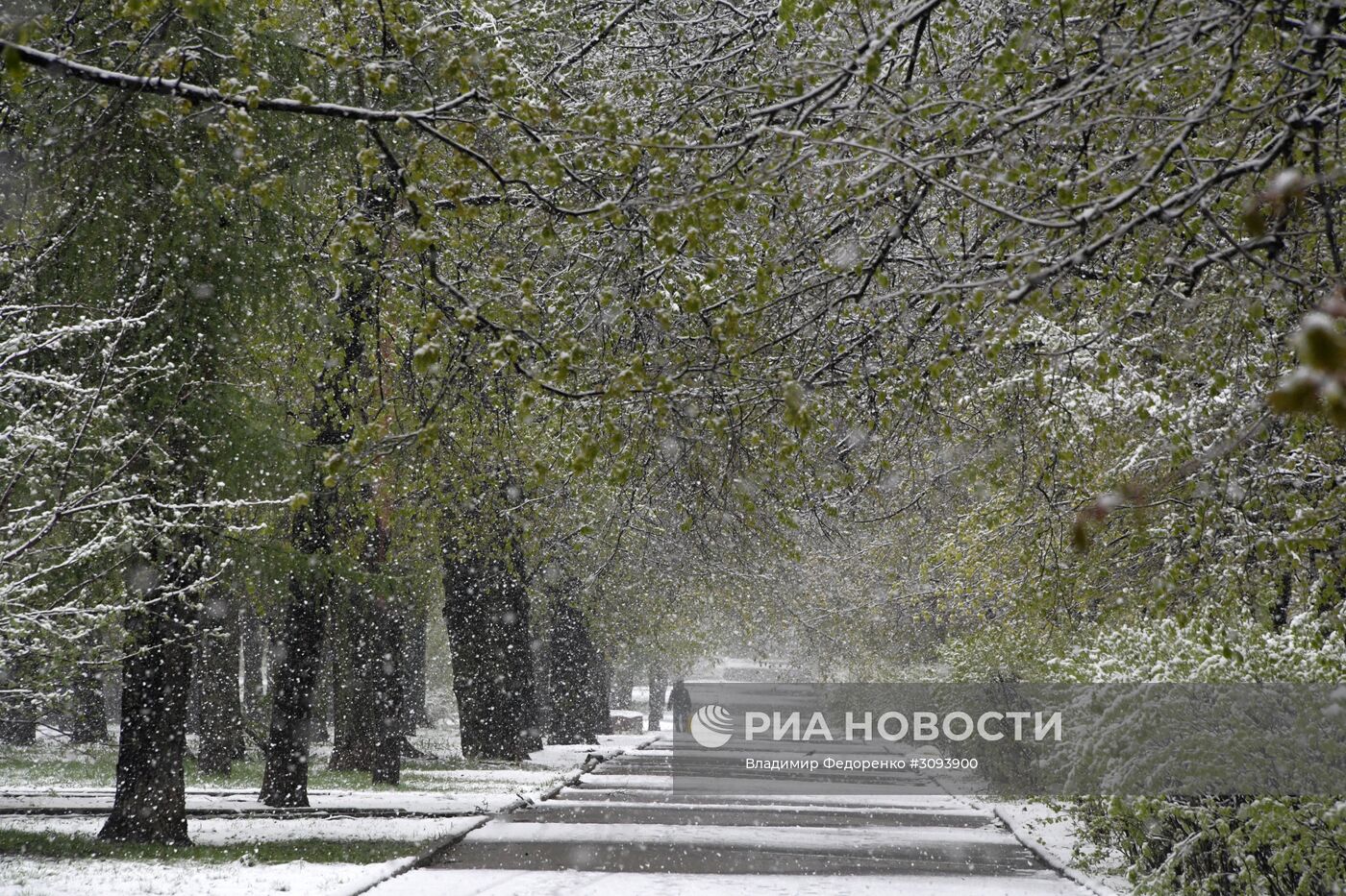 Майский снегопад в Москве