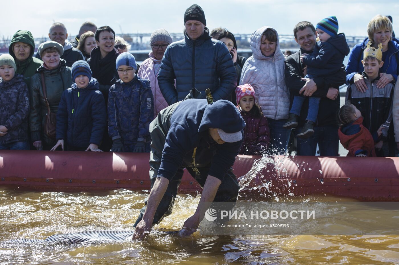 "Праздник корюшки 2017" в Санкт-Петербурге