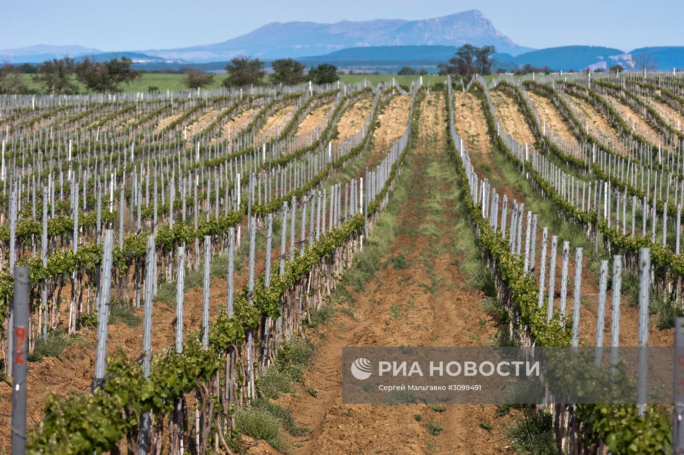 Инкерманский завод марочных вин в Крыму