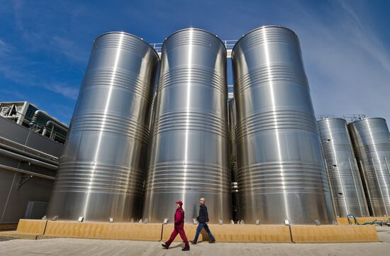 Инкерманский завод марочных вин в Крыму