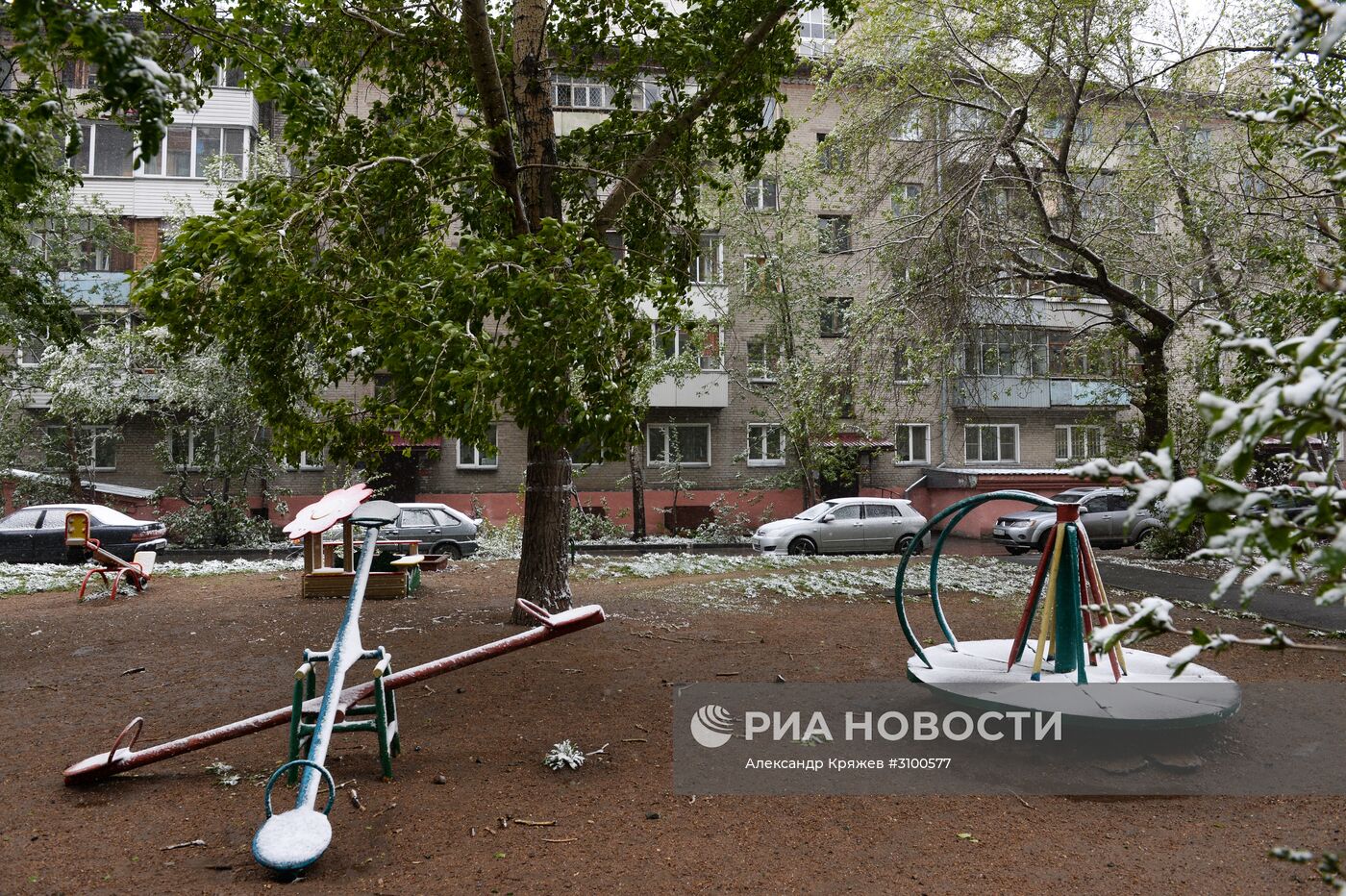 Майский снегопад в Новосибирске