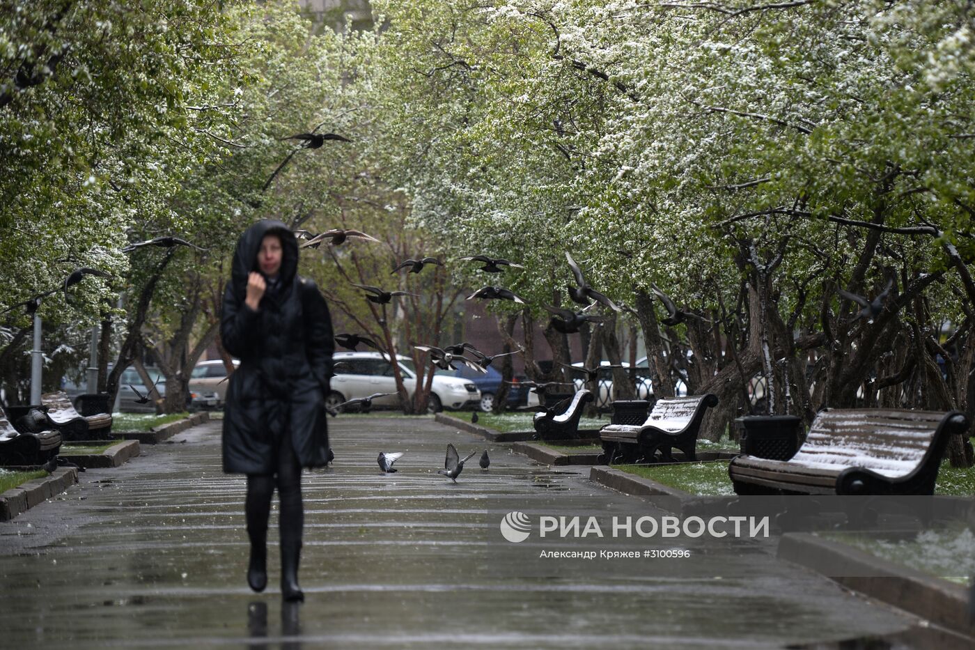 Майский снегопад в Новосибирске