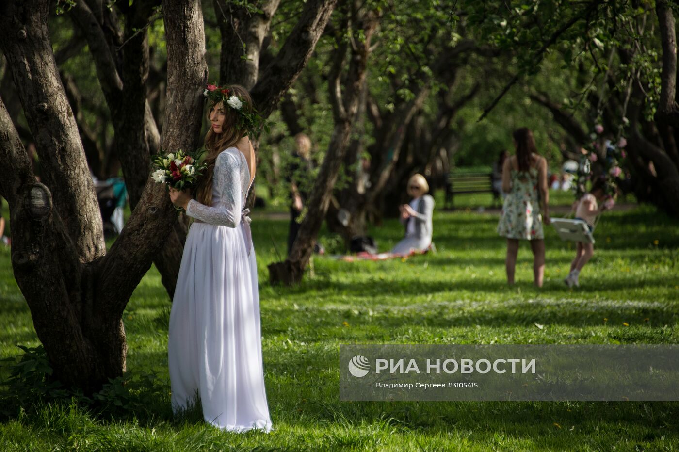 В Москве началось цветение яблонь