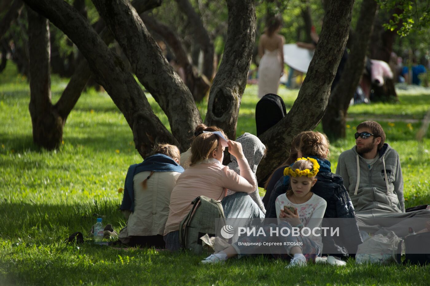 В Москве началось цветение яблонь