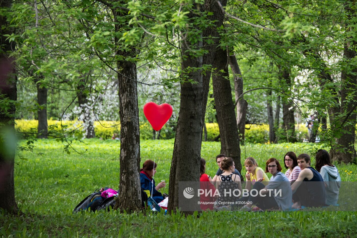 В Москве началось цветение яблонь