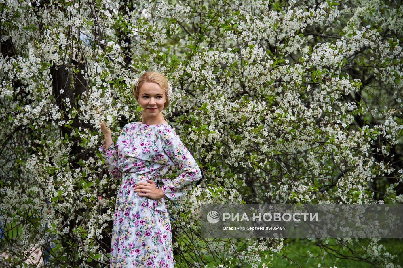 В Москве началось цветение яблонь