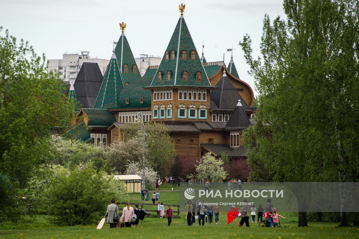 В Москве началось цветение яблонь