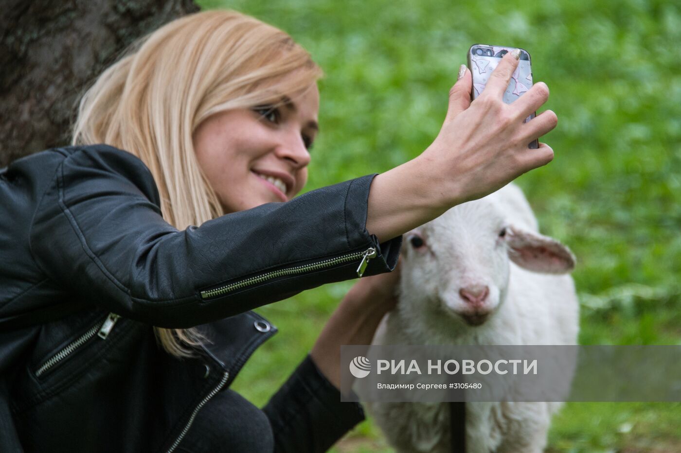 В Москве началось цветение яблонь