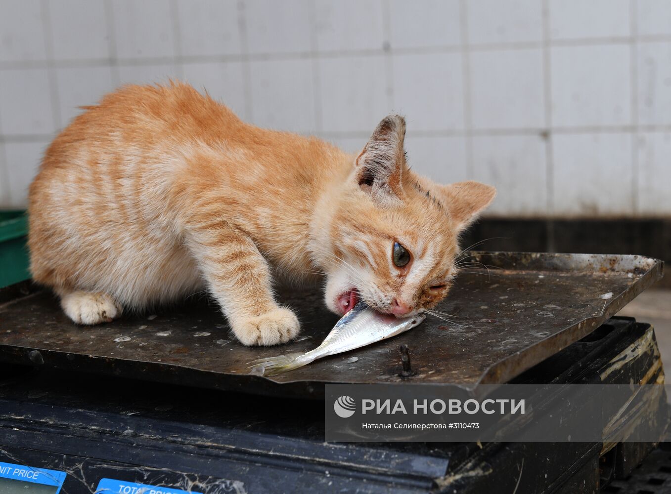 Рынок на острове Джерба в Тунисе