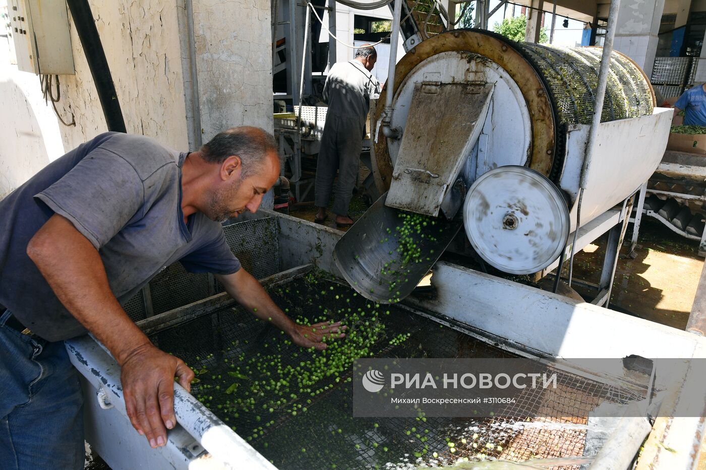 Производство консервированных продуктов в Дамаске