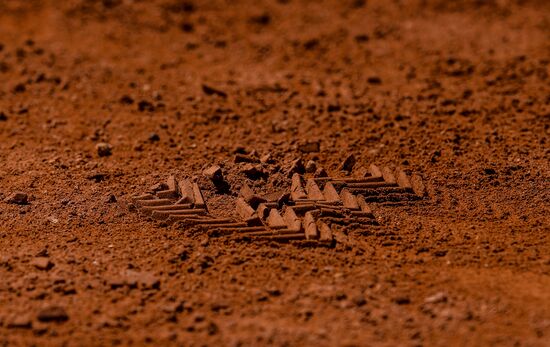 Теннис. Ролан Гаррос. Квалификация