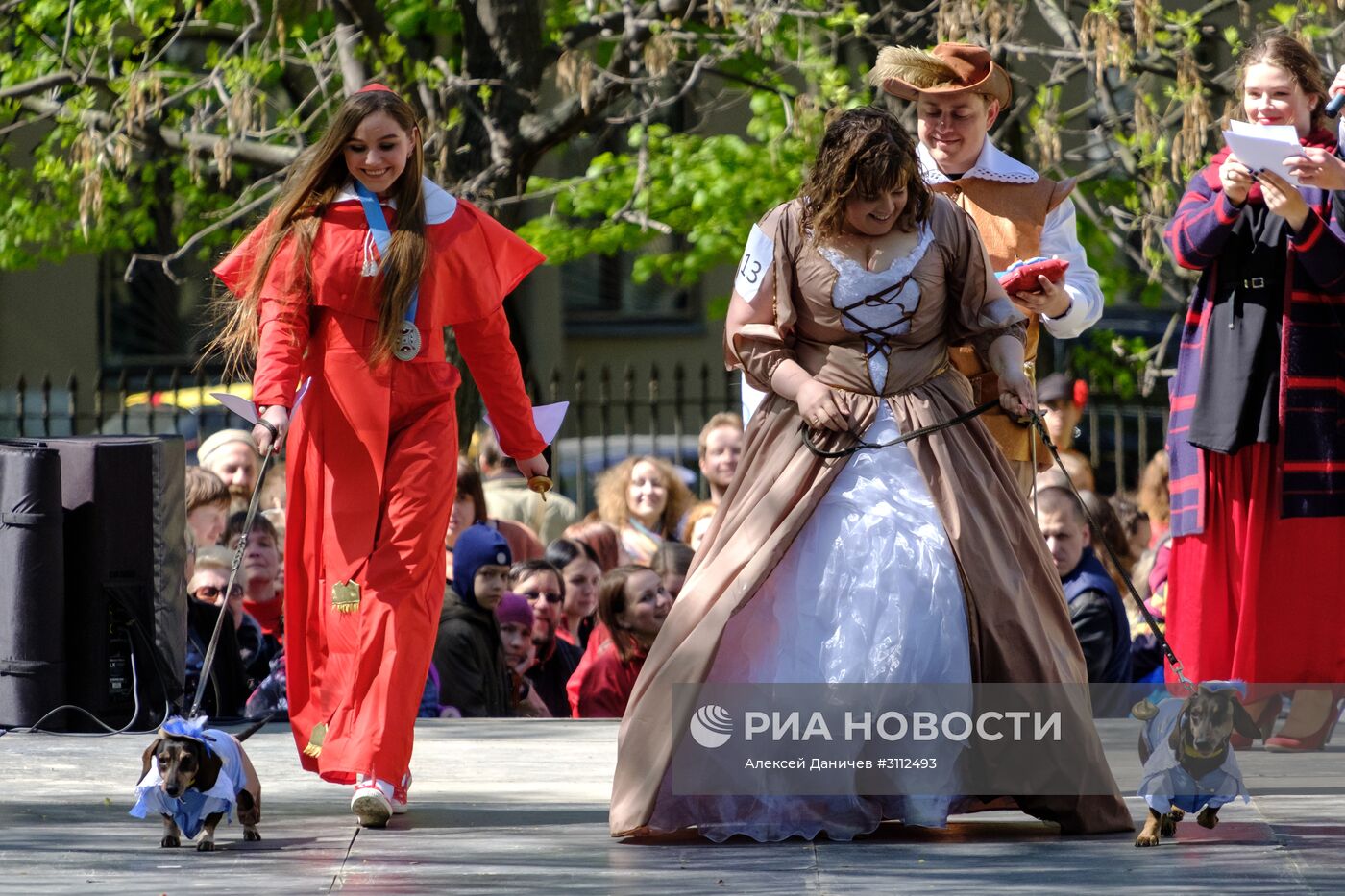 "Такс Парад" в Санкт-Петербурге