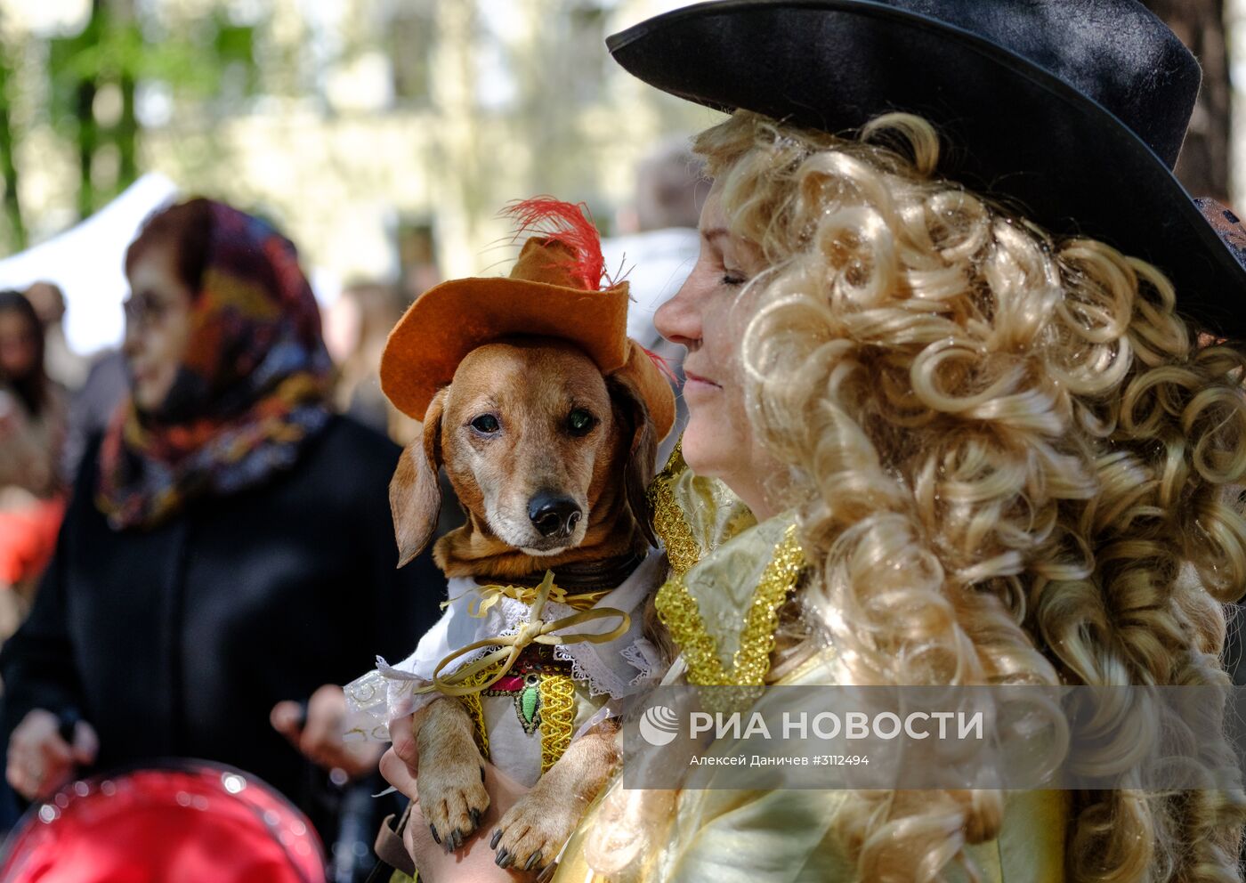 "Такс Парад" в Санкт-Петербурге