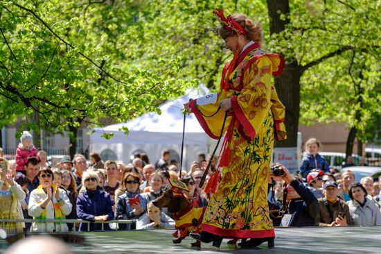 "Такс Парад" в Санкт-Петербурге