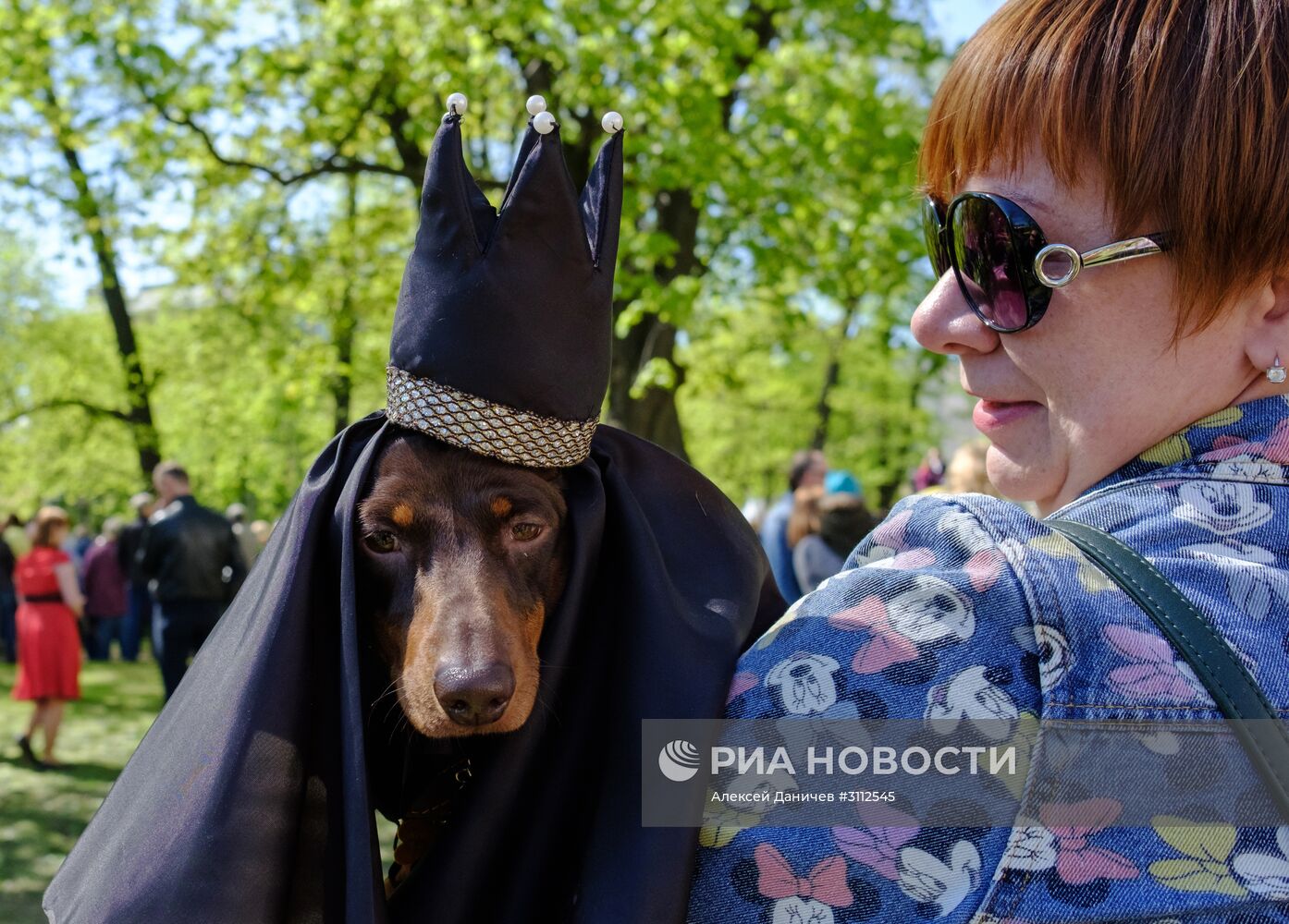 "Такс Парад" в Санкт-Петербурге