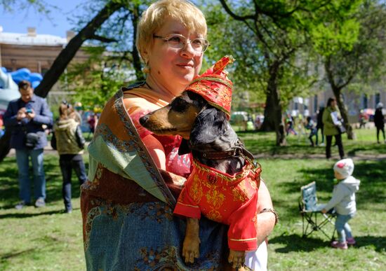 "Такс Парад" в Санкт-Петербурге