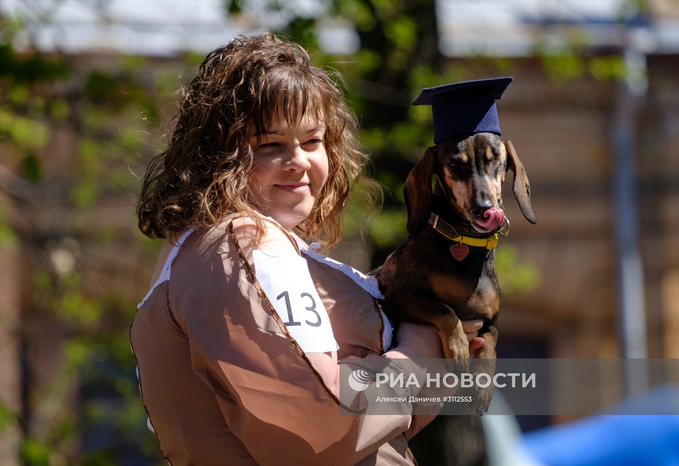 "Такс Парад" в Санкт-Петербурге