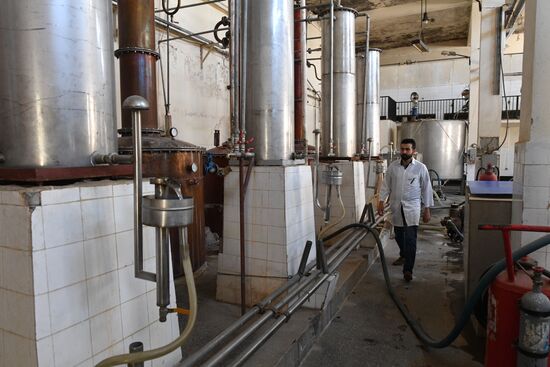 Завод по производству арака и вина в сирийском городе Сувейда