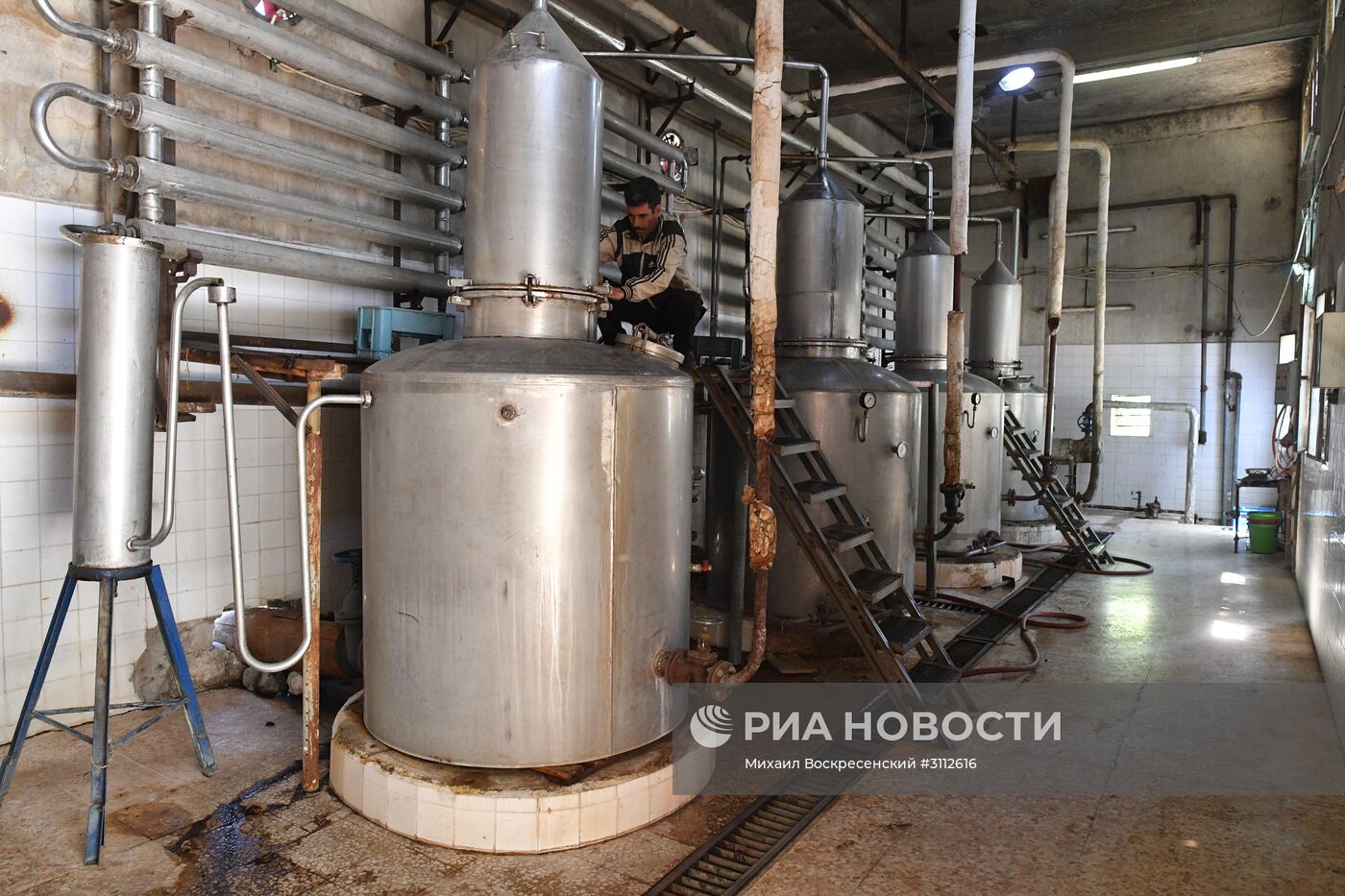 Завод по производству арака и вина в сирийском городе Сувейда