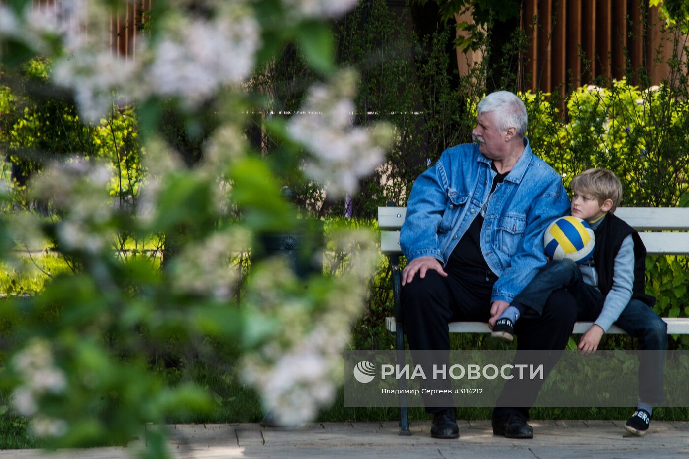 Цветение сирени в Москве