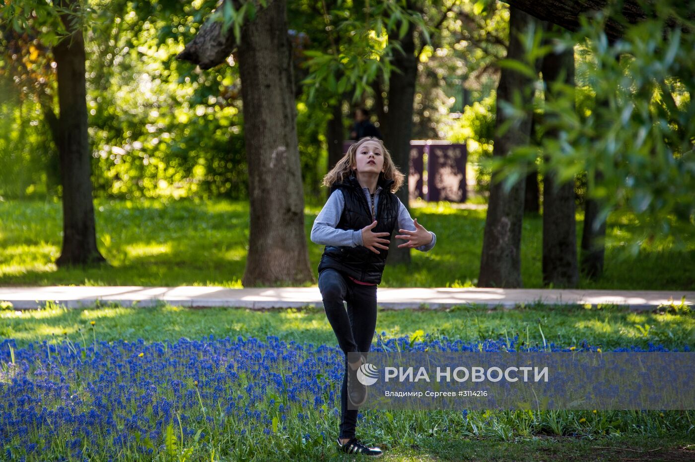 Цветение сирени в Москве