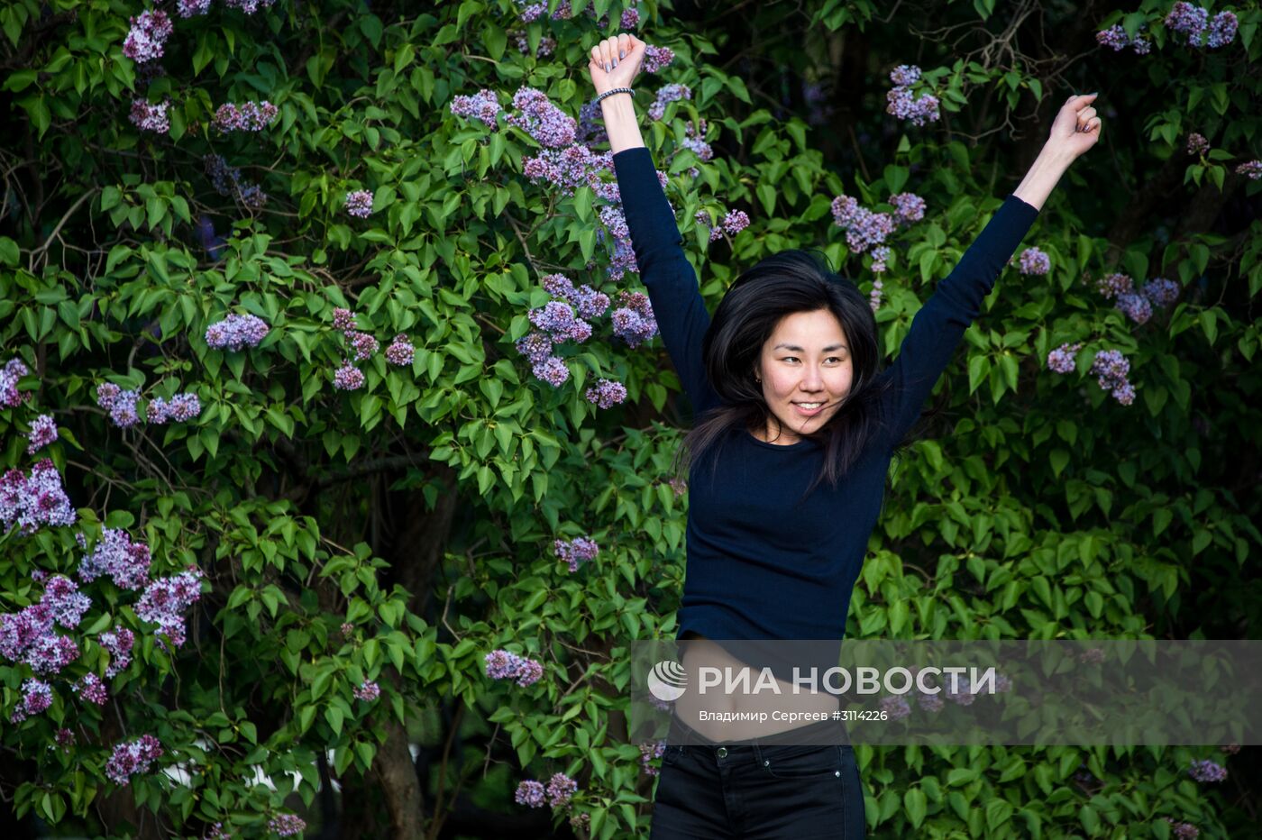 Цветение сирени в Москве